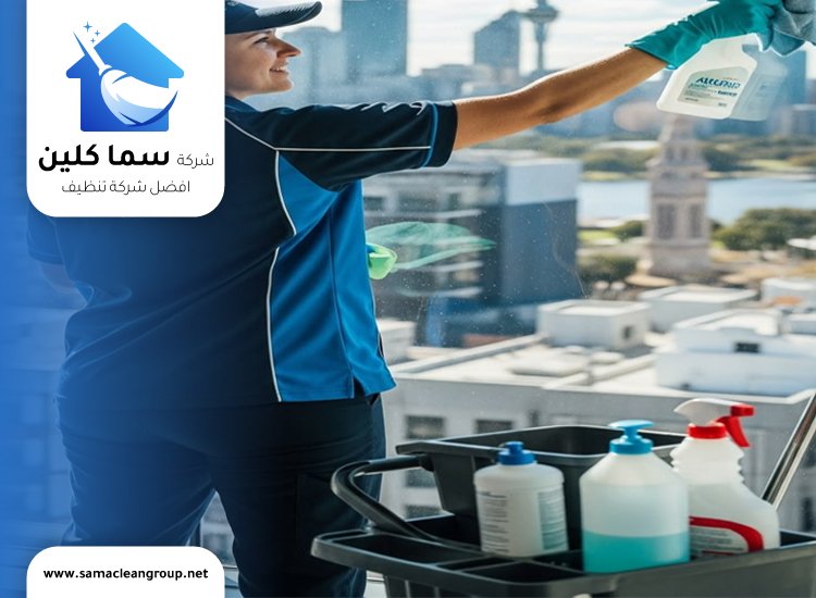شركة تنظيف حولي