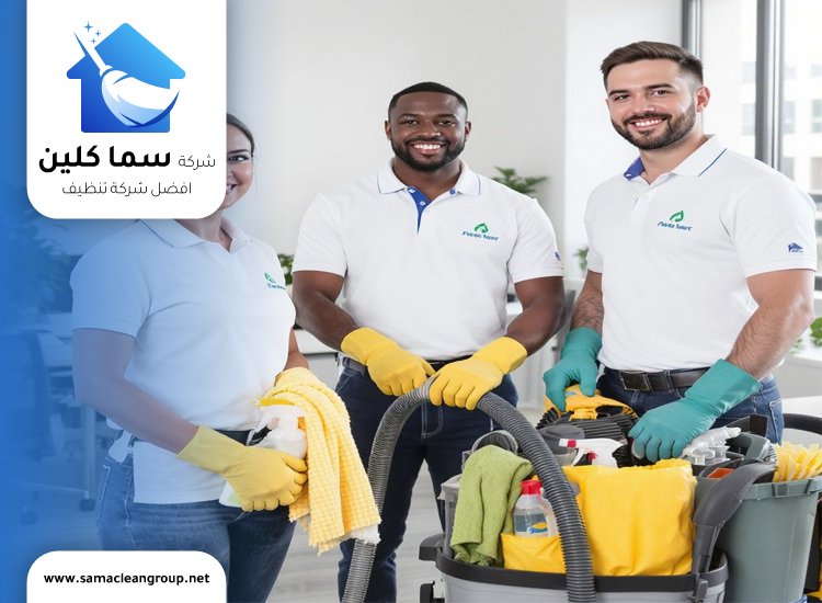 شركة تنظيف السالمية
