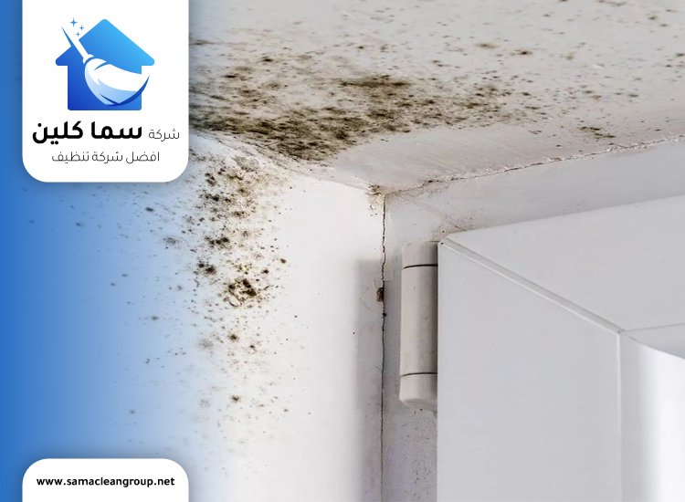 تنظيف اسقف المطبخ من الشحوم