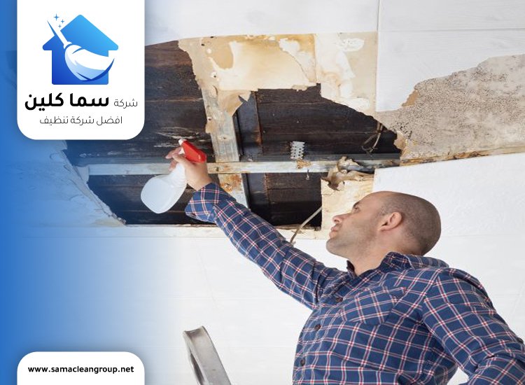 تنظيف اسقف المطبخ من الشحوم