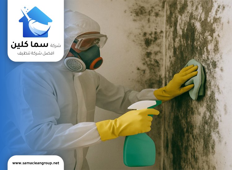 علاج العفن الاسود في الحمامات