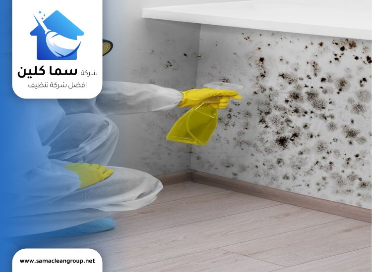 علاج العفن الاسود في الحمامات
