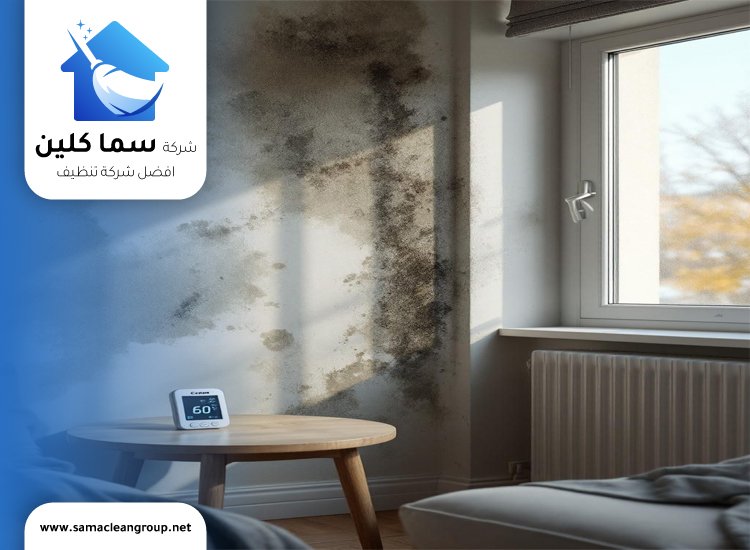 ازالة العفن الاسود من الجدران