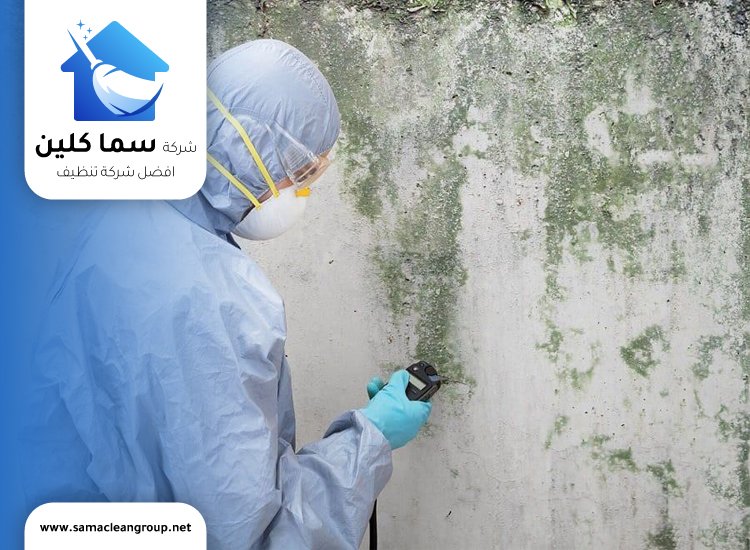 علاج العفن الاسود في الحمامات