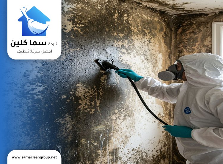 علاج العفن الاسود في الحمامات