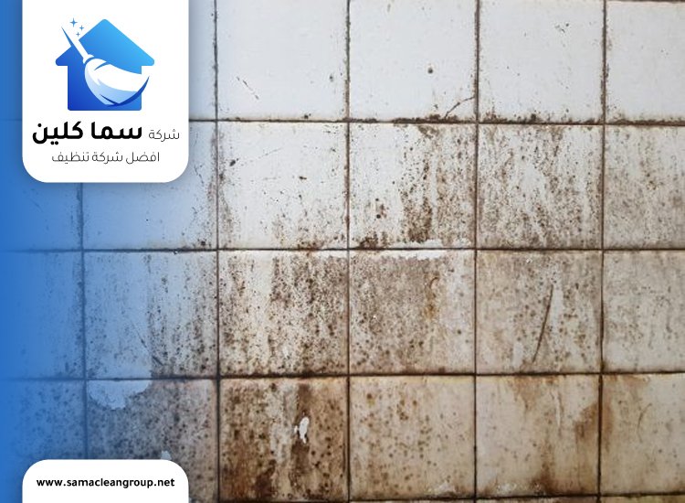 ازالة العفن من الفواصل بين البلاط